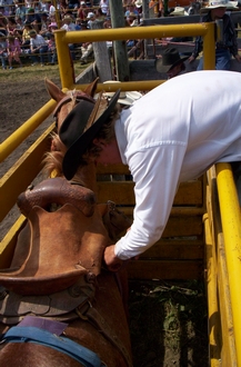 A bronc rider with an association saddle