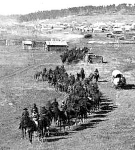 Two Fifth Cavalry companies, 1876