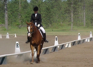 Letters around a dressage arena