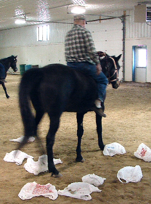 Bill Prickett riding Bunny over plastic bags