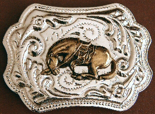 Closeup photo of Bunny Buckle