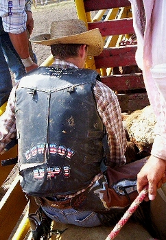 Cowhand mounting bucking bull in chute