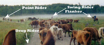 Effie cattle drive