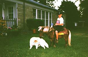 Lil Cowboy Bob, Zippy and Ginger