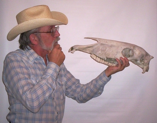 Cowboy Bob does his version of Hamlet -- with a horse skull!