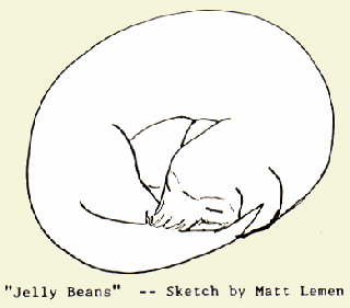 Sketch of Jelly Beans -- aka Jabe -- by Matt Lemen