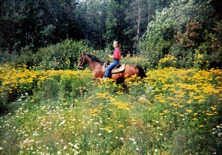 Taking a ride through the flowers