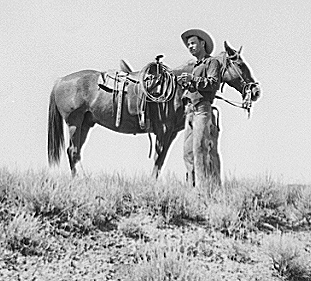 Cowhand and his pony