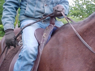 The blades on an Australian Stock Saddle saddle