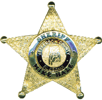 Sheriff Badge