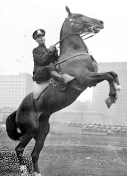 Policeman cueing horse to rear
