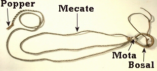 Mecate with bosal