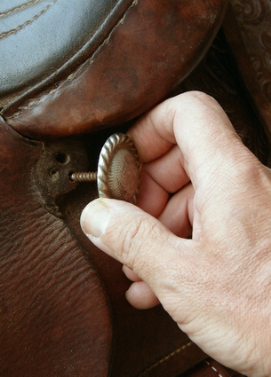 Removing a screw-in concha