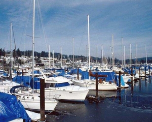 Boats in harbor with mares tail clouds