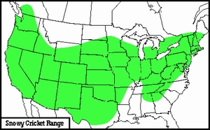 Snowy Cricket North America range