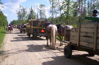 Effie wagon train