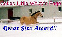 Cokes Little Whizy's Page's Great Site Award