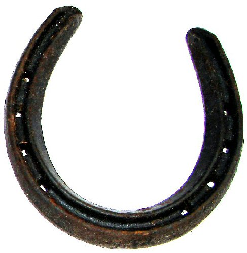 Fullered Front Horseshoe