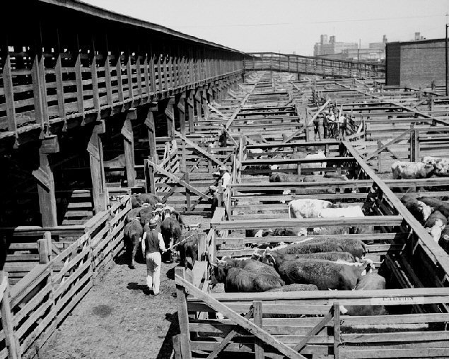 Kansas City Stockyards