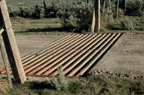 Cattle guard