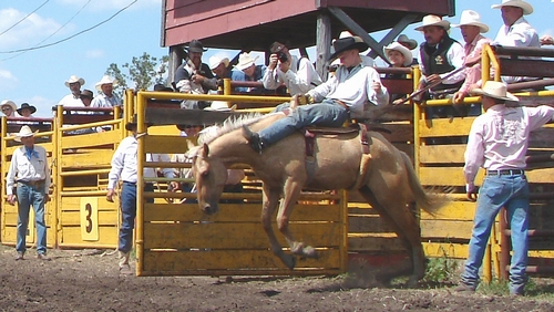 Marking out a bronco