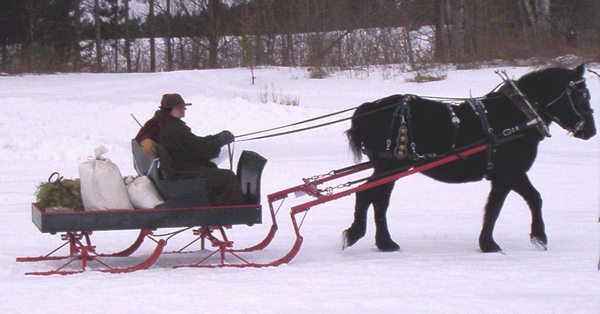 sleigh