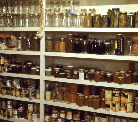 home canned and store-bought canned goods