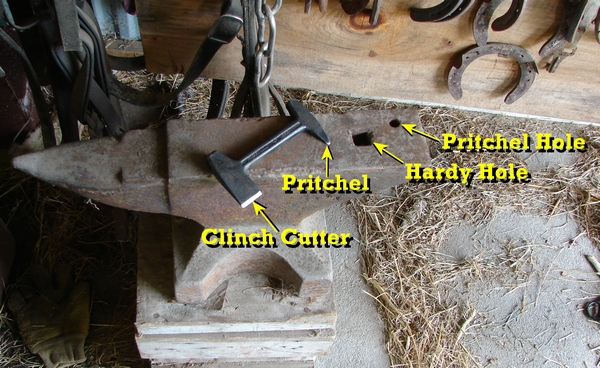 Clinch Cutter