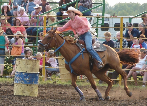 Barrel Racer