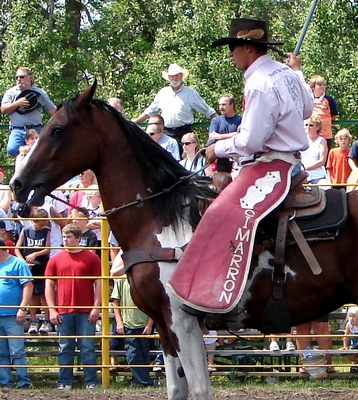 Batwing Chaps