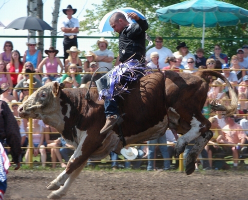 Bull rider