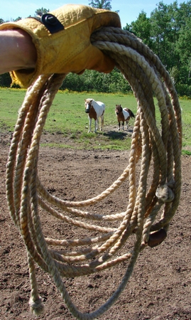 A coiled lasso