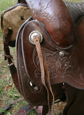 Concha and saddle strings