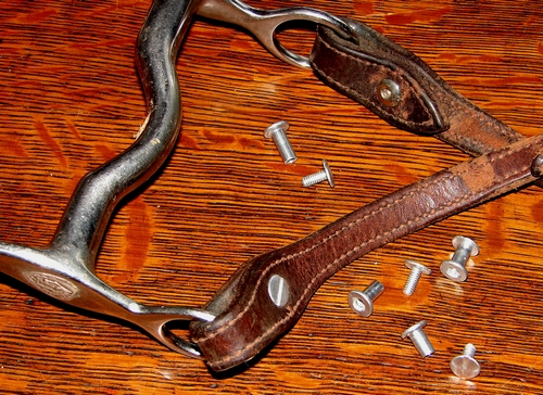 Chicago screws with headstall and bit