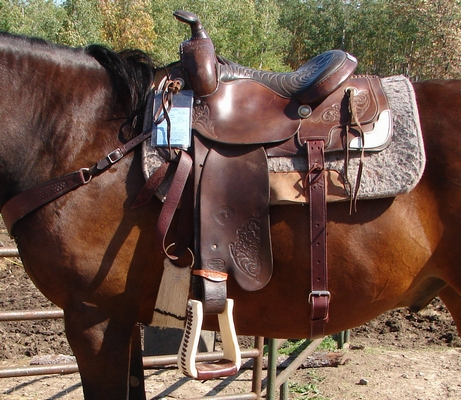 Double rigged saddle