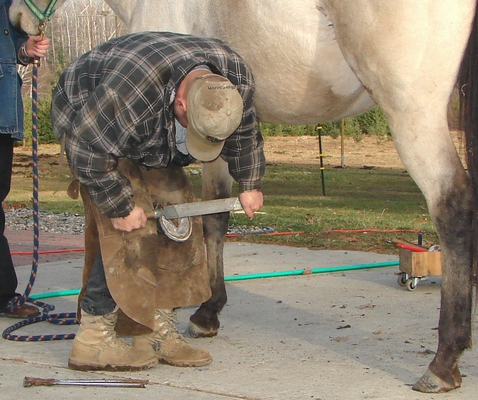 Farrier Jason Montana smooths a horse's hoof