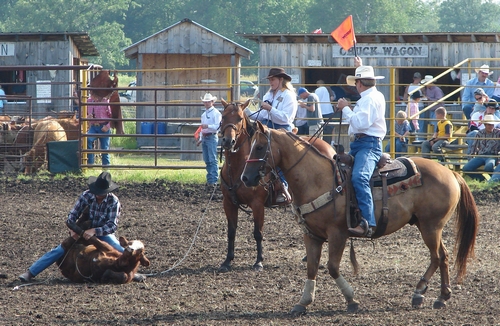 Rodeo Flagman