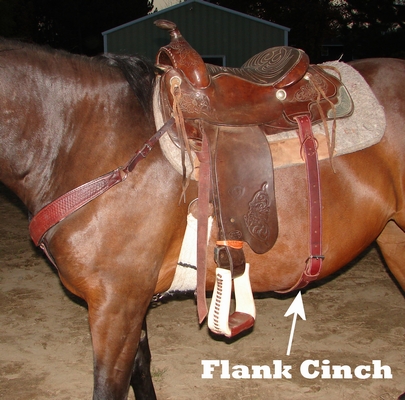 Flank cinch