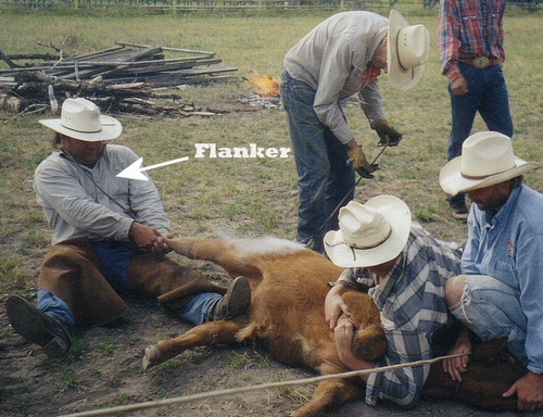 Flank Rider