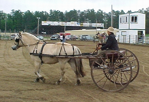 Pulling Strap