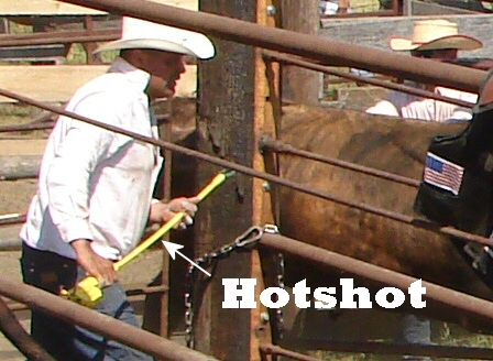 A hotshot cattle prod