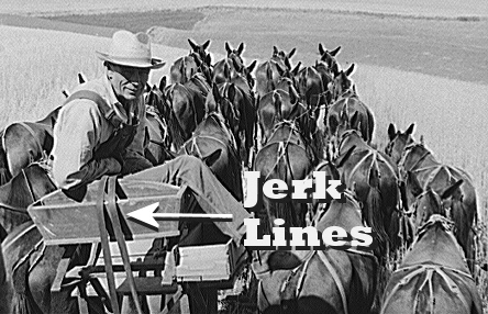 Mule team jerklines