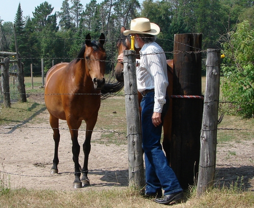 Cowboy Bob using a Pass-Through