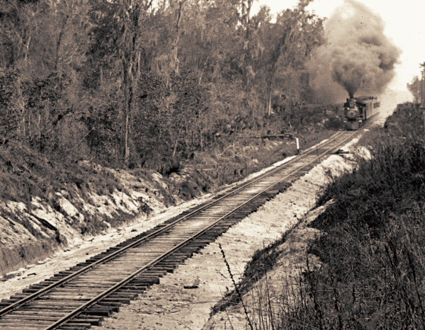 Train taking a straight route through a cut