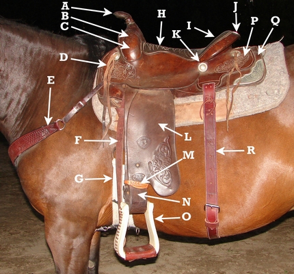 Parts of a saddle