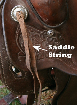 Saddle Strings