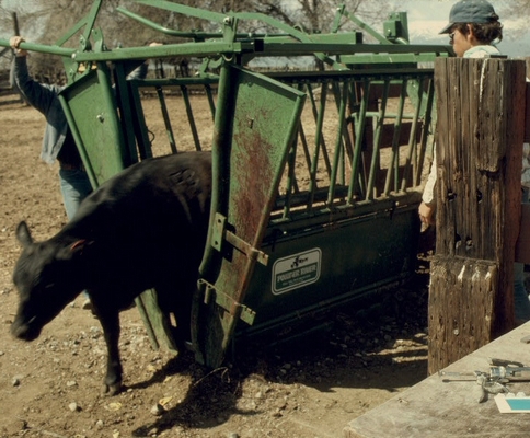 Squeeze Chute