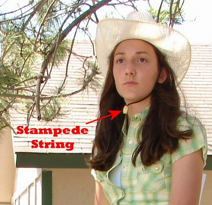 Stampede string