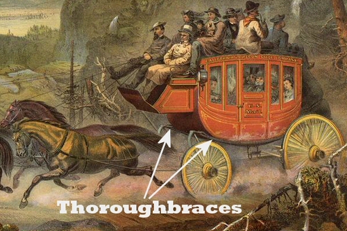 Thoroughbraces