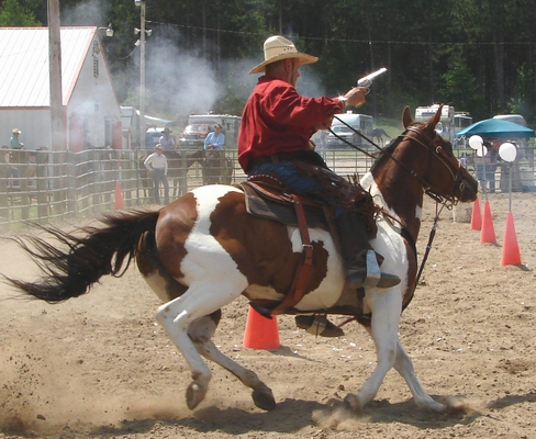 Tobiano horse